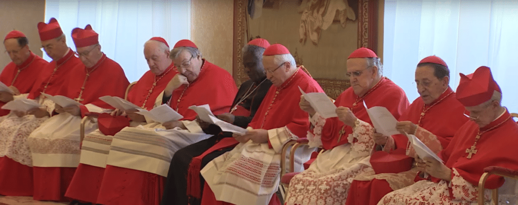 George Pell and fellow Cardinals