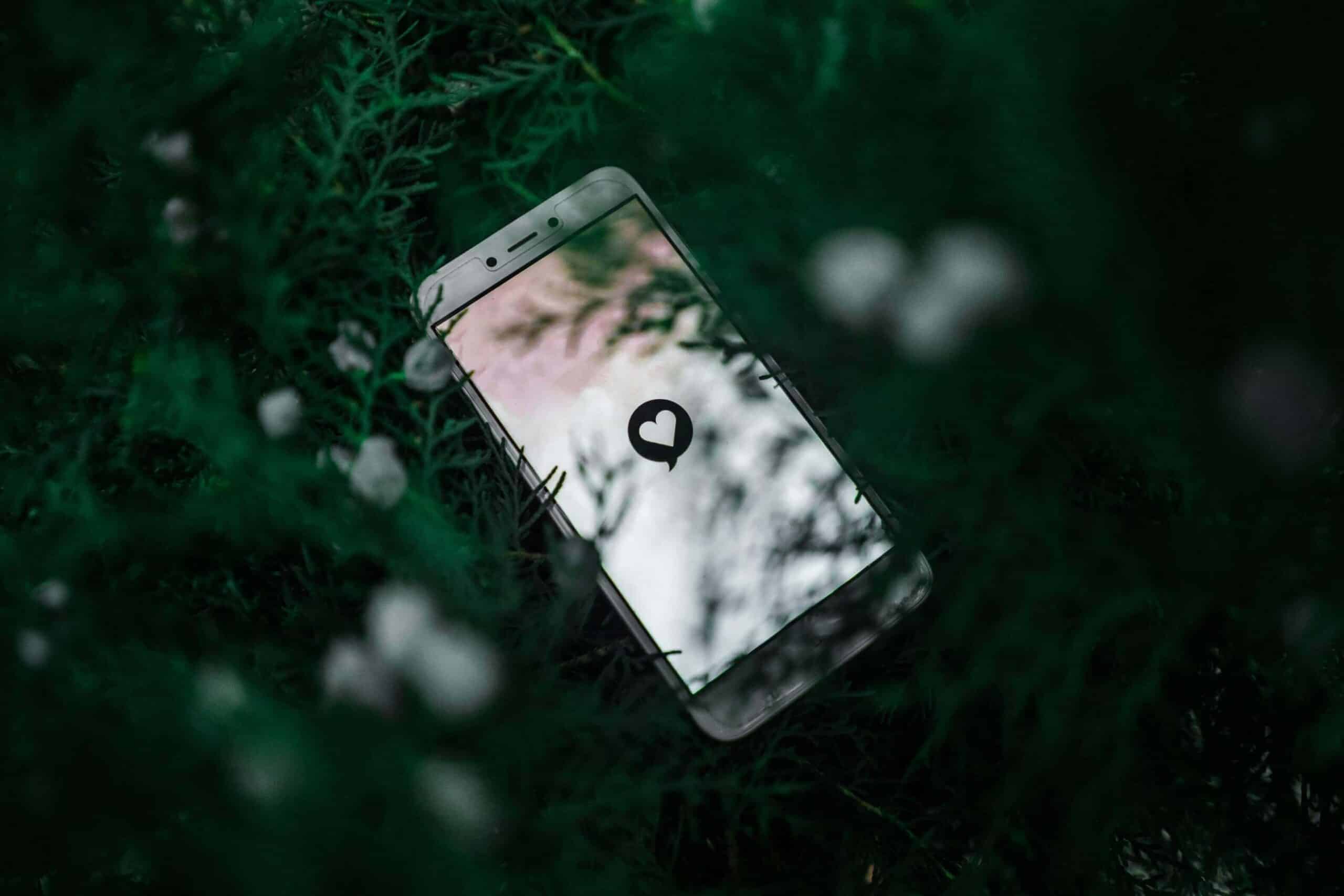 Dating app on phone